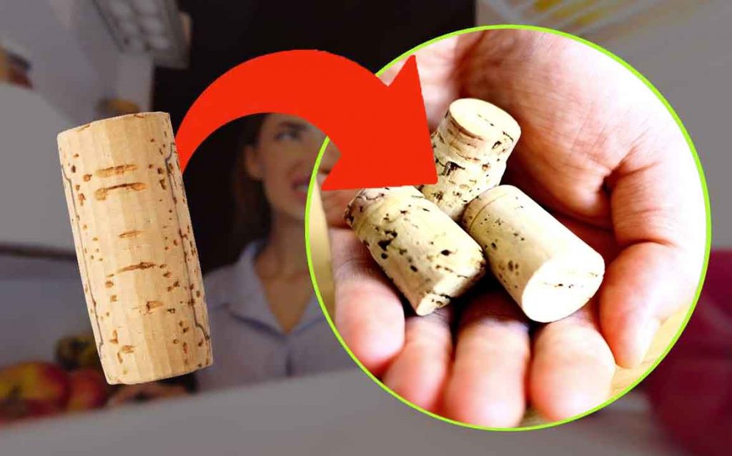 Placez le bouchon en liège au réfrigérateur et laissez-le toute la nuit | Cette astuce sauve des millions de personnes !