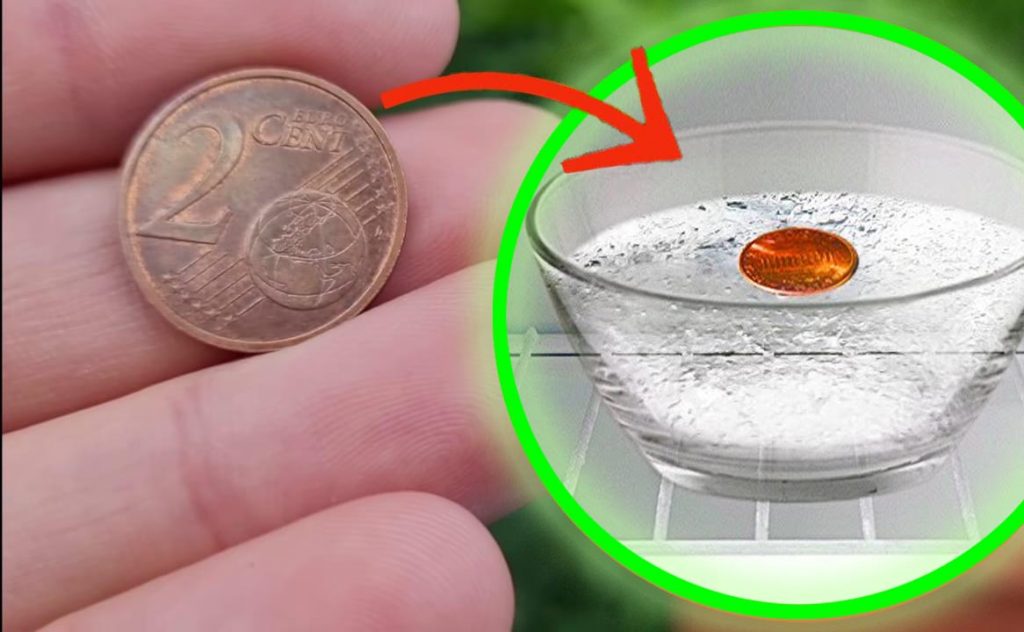 Pièce de monnaie au congélateur : tout le monde la met là, la fabrique aussi | Cette astuce sauve des millions de personnes !