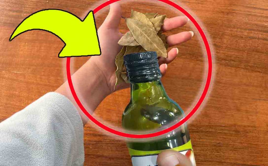 Ein Lorbeerblatt ins Öl geben – der jahrhundertealte Trick vieler Hausfrauen in der Küche. Unsere Großmütter haben das immer so gemacht!