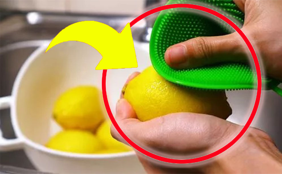 Immer frische Zitronen? Der Experten-Trick, damit sie nicht schimmeln!