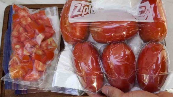 Wie man frische Tomaten 6 Monate lang aufbewahrt – die sehr nützliche Methode der Großmutter