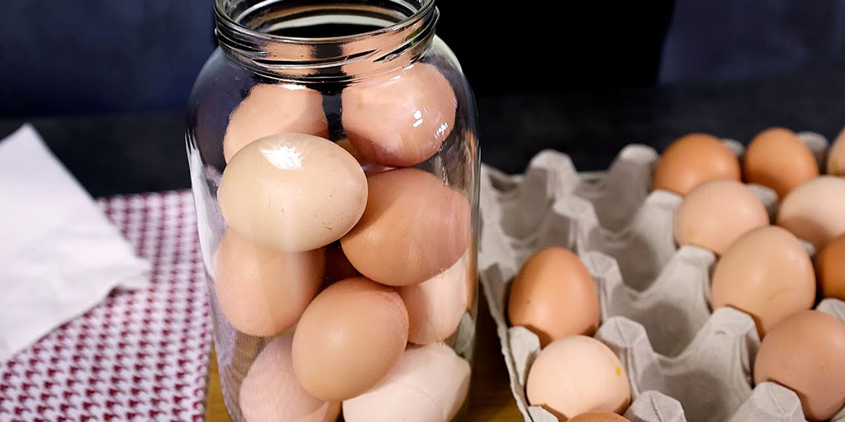Wie man Eier 2 Jahre lang in Gläsern haltbar macht: 2 perfekte Rezepte!