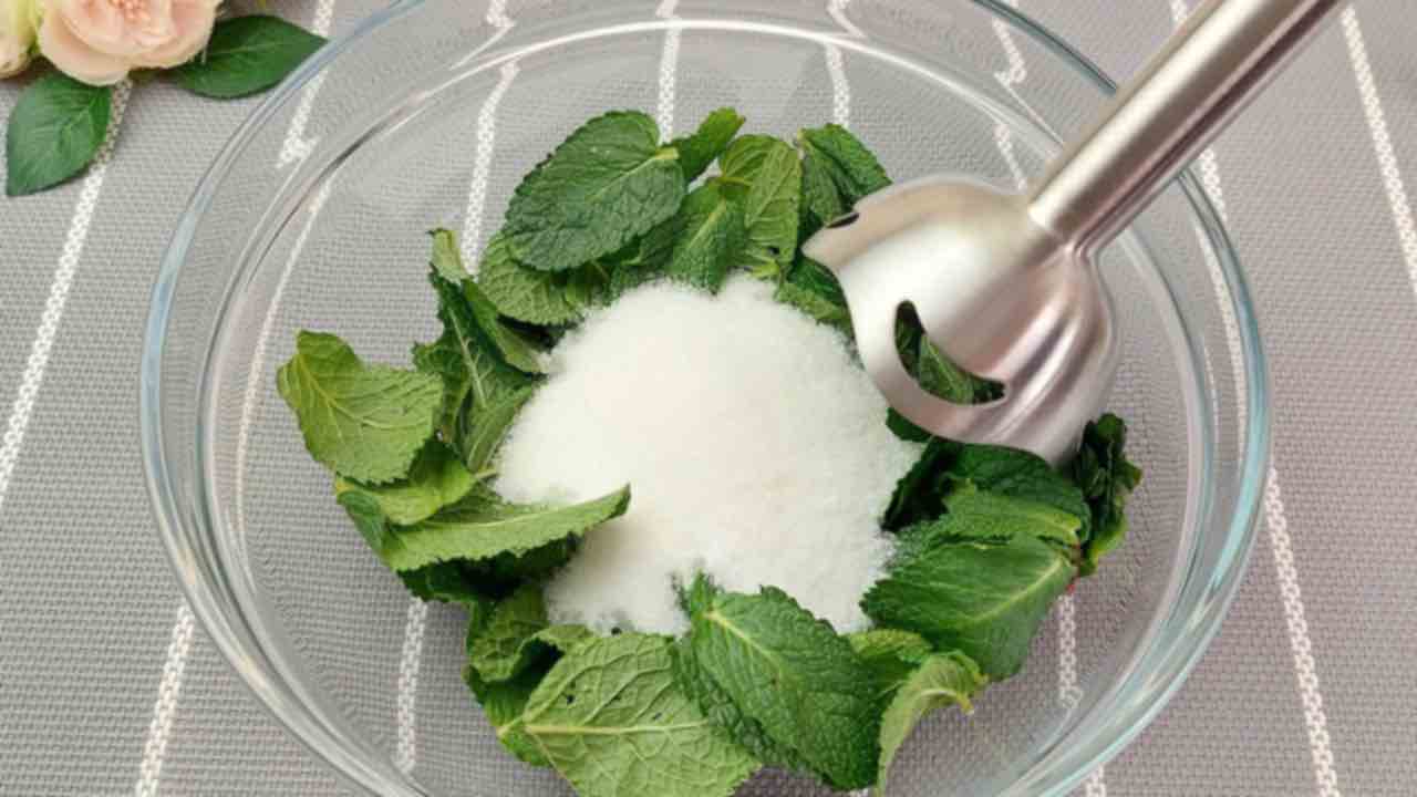 sucre et menthe, mélangez-les et vous verrez le résultat : peut-être que vous ne l’imaginez même pas