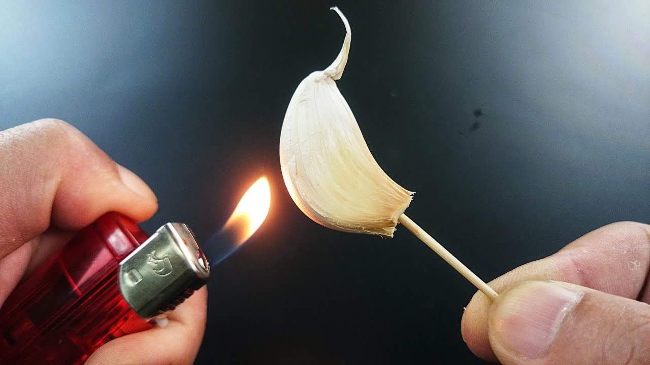 Brûler une gousse d’ail , que se passe-t-il après 15 minutes à la maison