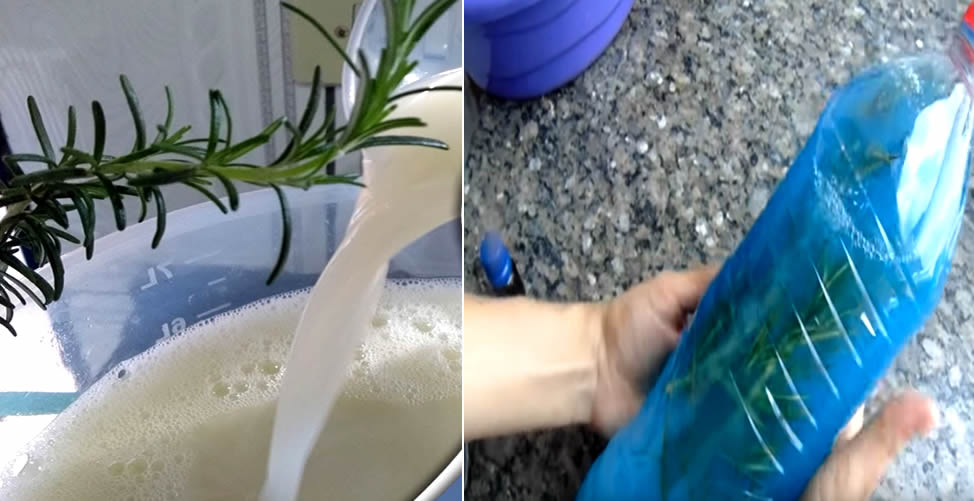 Produits de nettoyage faits maison – Ma salle de bain n’a plus jamais senti l’urine