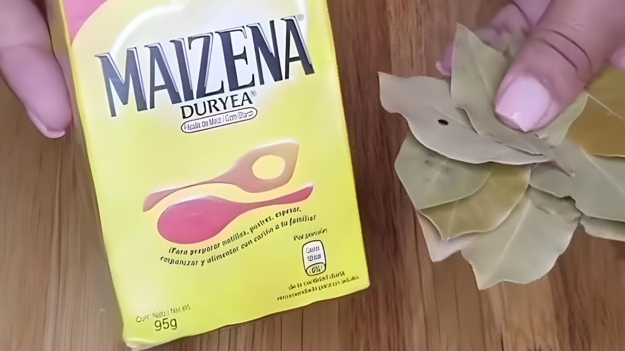 Amidon de maïs et feuilles de laurier, cette association vaut son pesant d’or : peu de gens la connaissent