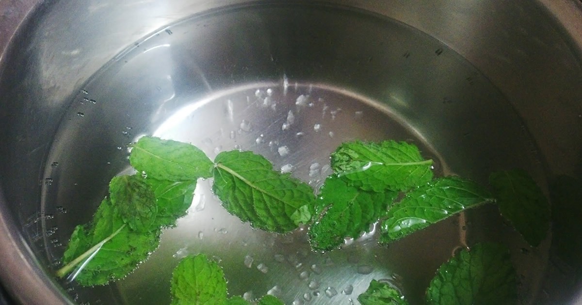 Faire bouillir trois feuilles de menthe : l’ancienne astuce de nos grands-mères et ses bienfaits