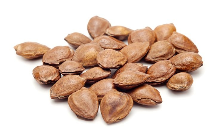 Ne jetez pas les noyaux d’abricots ! ils sont fondamentaux et précieux lorsqu’ils sont utilisés de cette manière