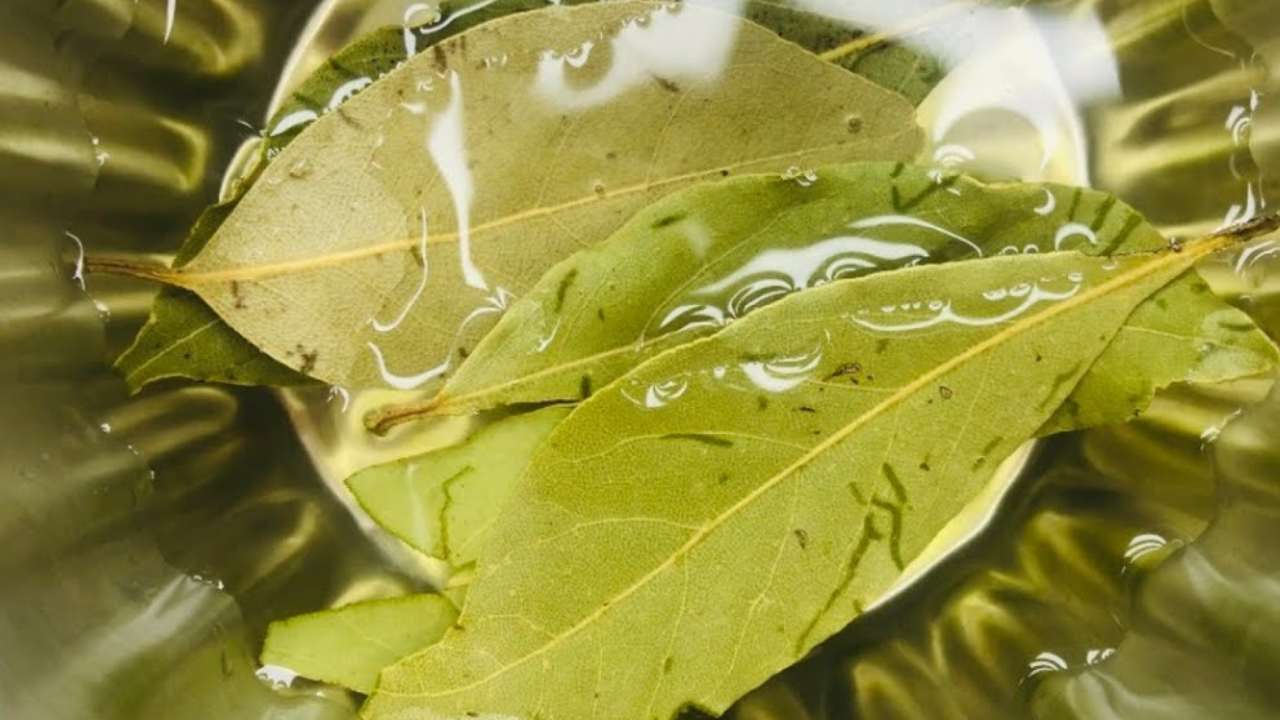 Adieu boutons et points noirs : avec le secret des esthéticiennes ils ne seront plus qu’un mauvais souvenir