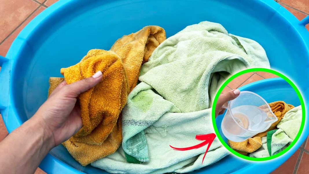 Comment adoucir les serviettes de place durcies avec cette méthode simple