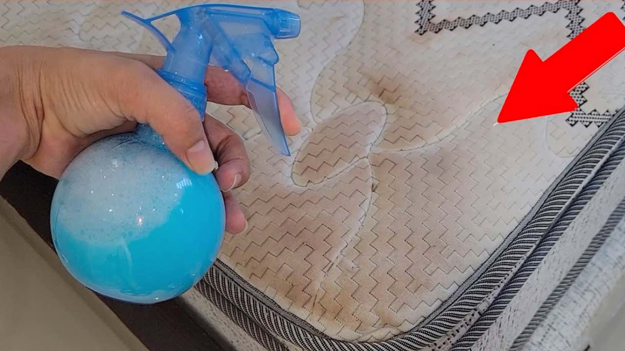 Dank dessen beseitigen Sie sämtlichen Schmutz, Schimmel und Gerüche aus den Matratzen im Haushalt