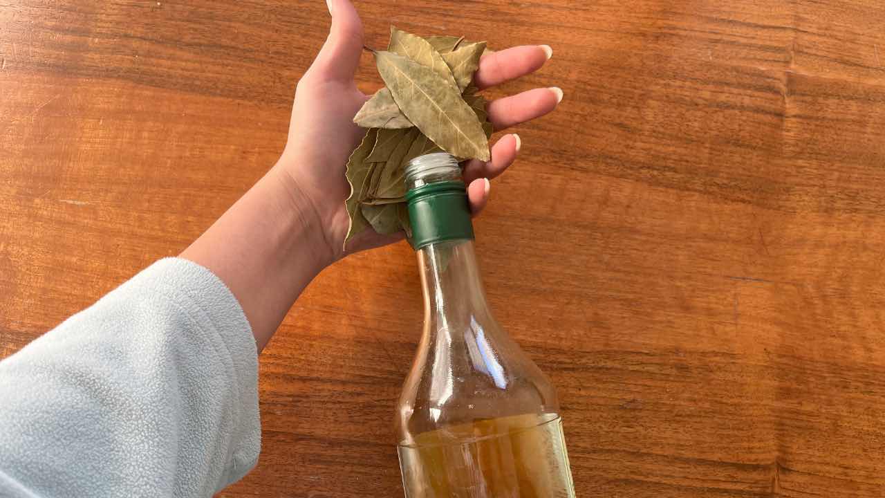 Vermischen Sie diese Zutaten – wenn Sie die Ergebnisse sehen, werden Sie allen das Geheimnis verraten wollen.