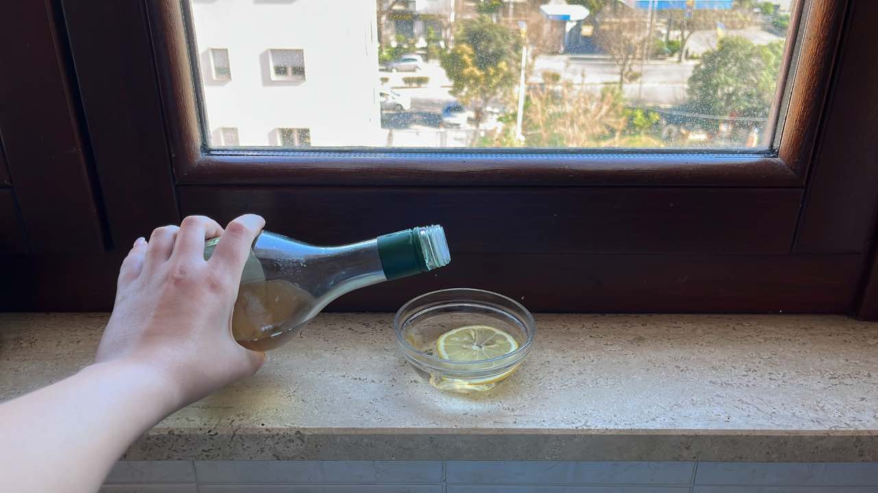 Sie stellen alle einen Teller mit Essig und Zitrone auf die Fensterbank – deshalb.
