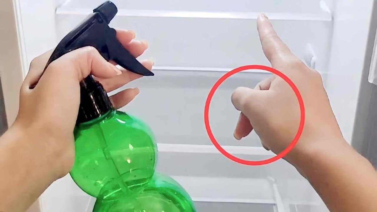 Reinige den Kühlschrank ohne zu schrubben, völlig mühelos: entfernt alle schlechten Gerüche