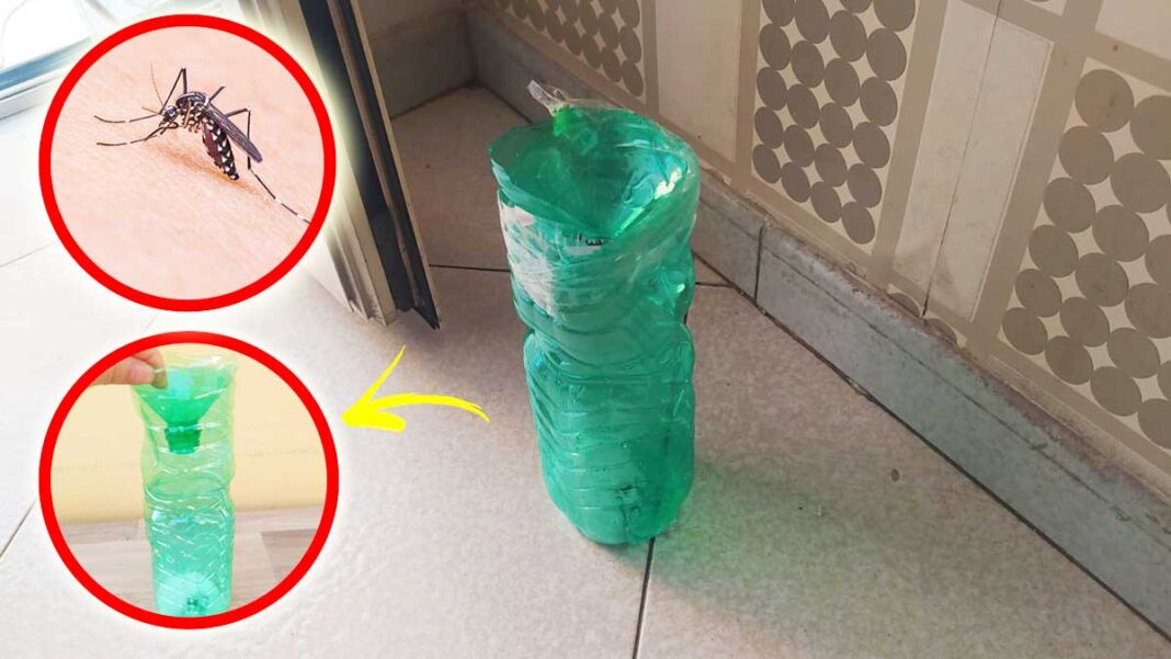 Diese einfache Flasche ist die perfekte Falle, um Mücken fernzuhalten