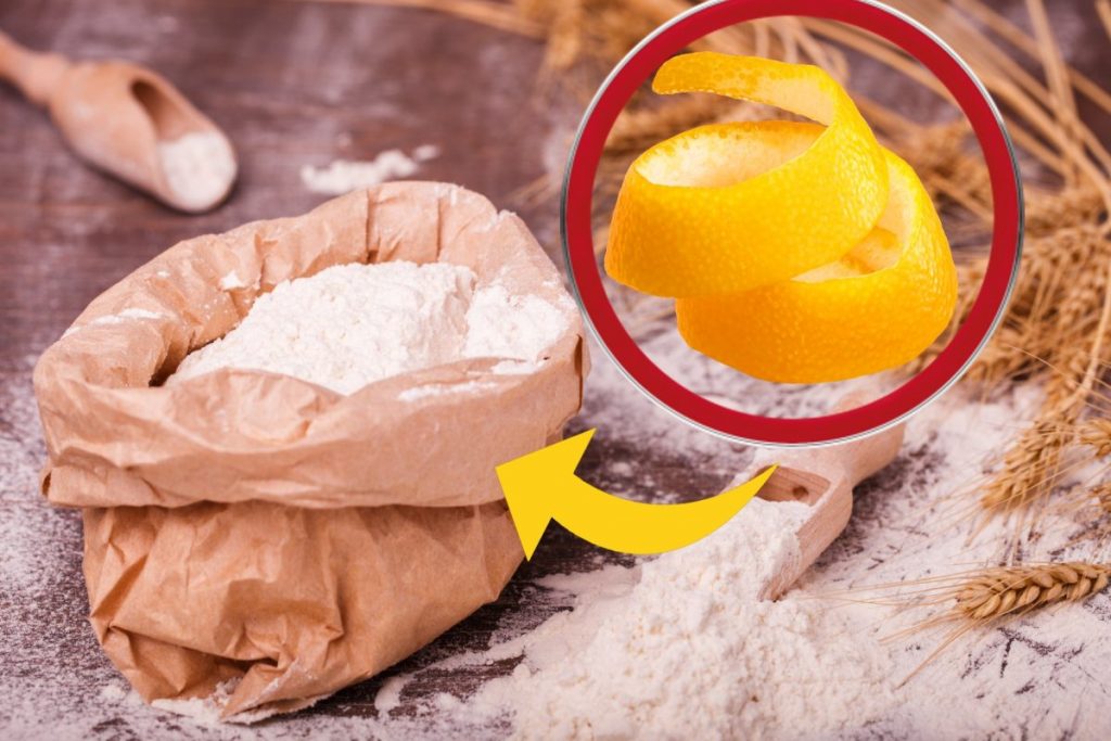 Seit Jahren lege ich Orangeschalen neben die Mehlsäcke – endlich habe ich ein großes Problem gelöst!