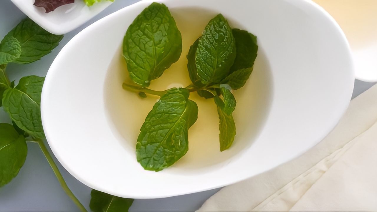 Deshalb haben Hausfrauen begonnen, 3 Minzblätter mit Essig zu mischen