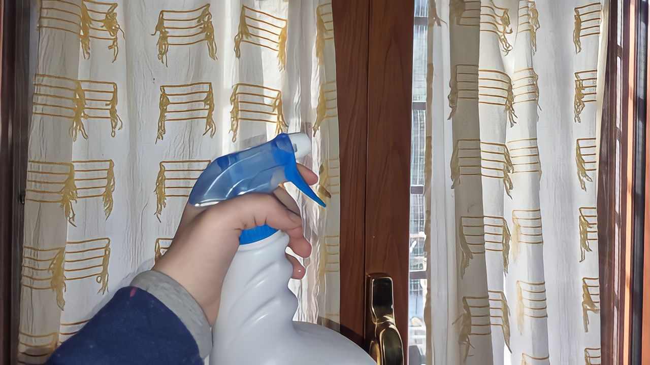 Der Trick der Hausfrauen, um Bettwanzen dauerhaft aus dem Haus zu entfernen