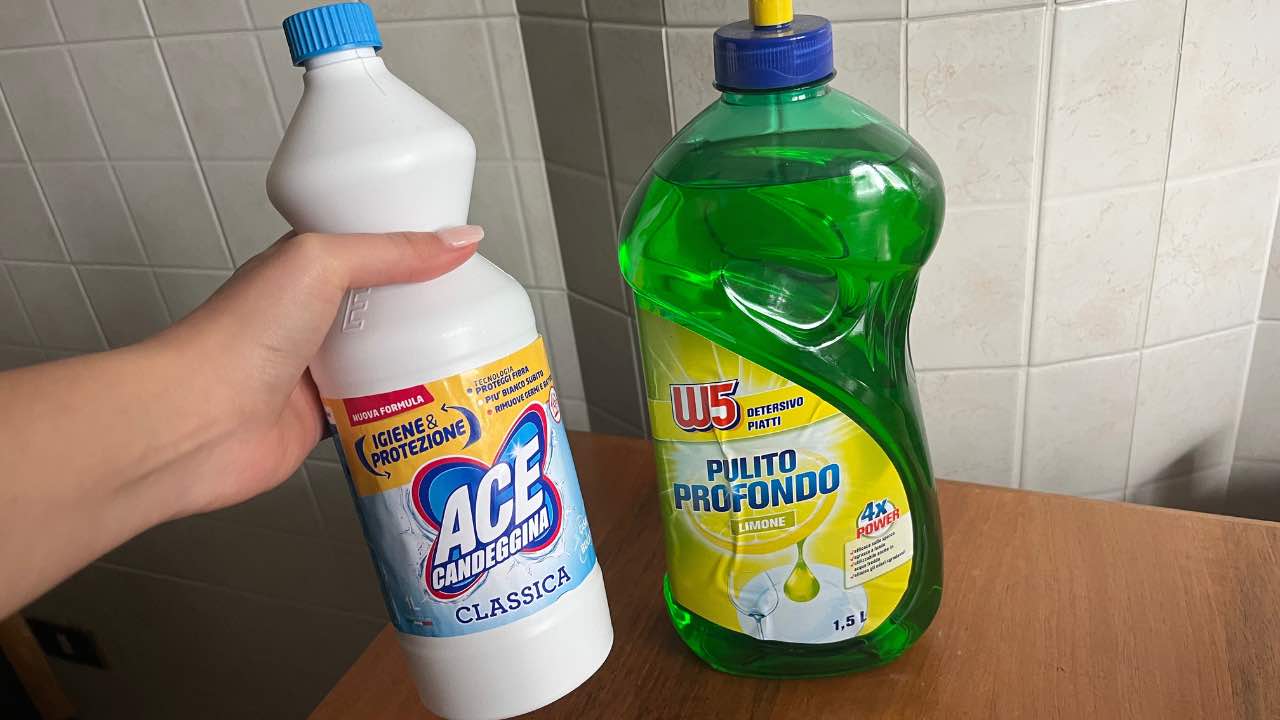 Mischen Sie diese 2 Zutaten und sparen Sie eine Lawine an Geld: So ein Haus hatten Sie noch nie.