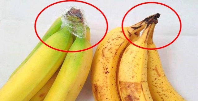 20 astuces pour faire durer vos aliments plus longtemps et ne pas les jeter !