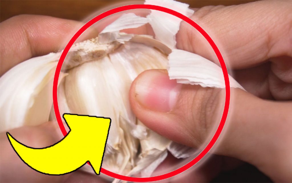 L’ail, tout le monde le met dans le jus de citron | Avec cette astuce, vous résolvez un problème très ennuyeux !