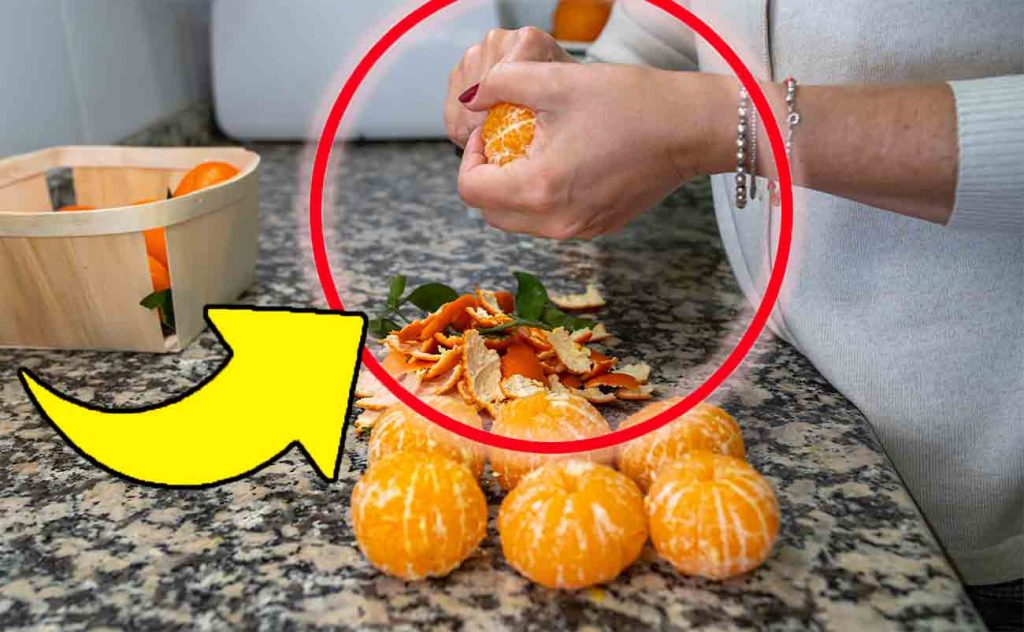 Pelures de mandarine, ne les jetez pas : elles « valent leur pesant d’or » | Placez-les sur le rebord de la fenêtre | Vous pouvez tout faire avec !