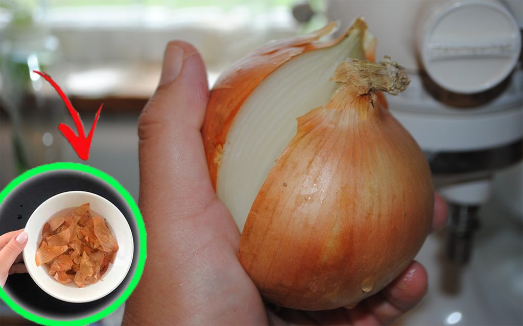 Pelures d’oignons, ils les enterrent tous dans le jardin | La vieille astuce utilisée par les jardiniers