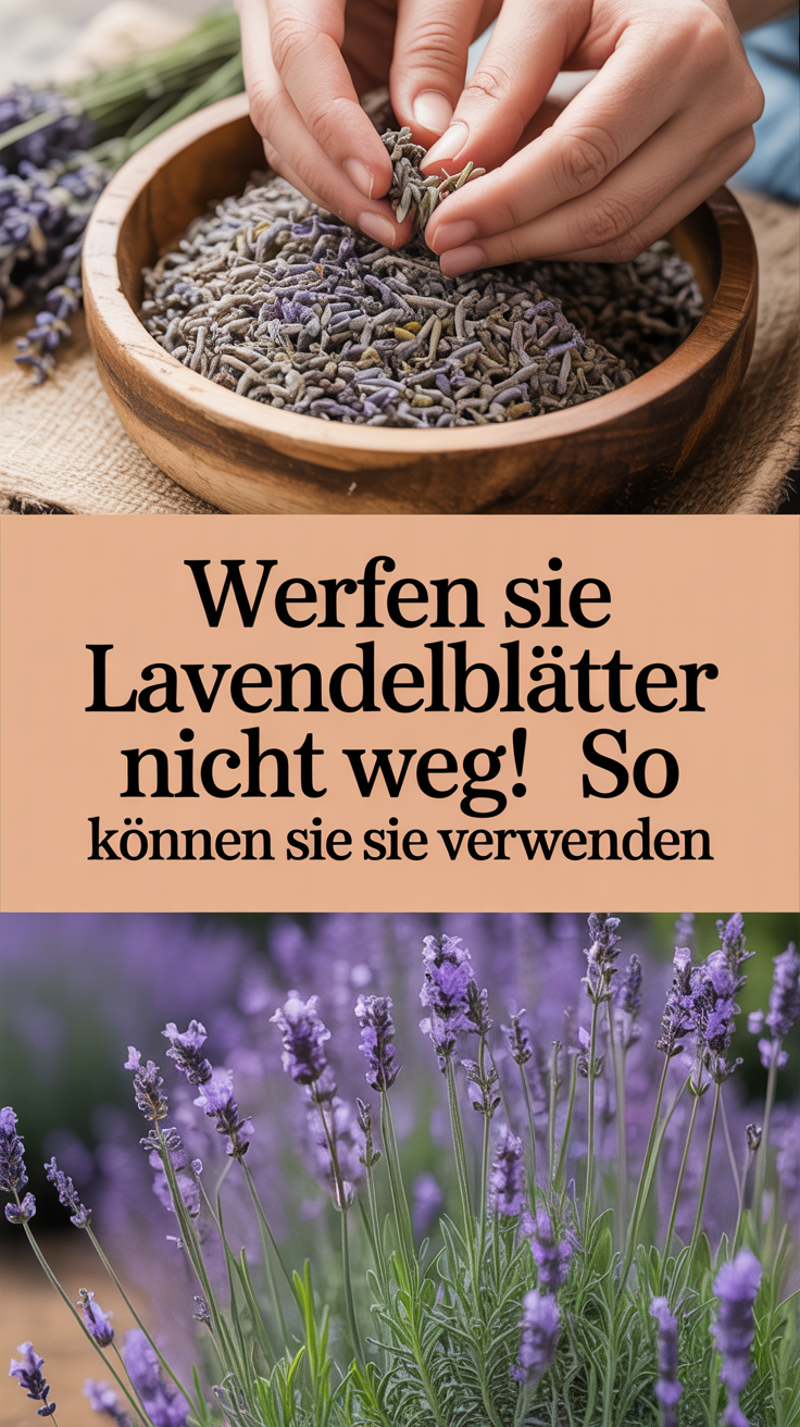 Werfen Sie Lavendelblätter nicht weg! So können Sie sie verwenden