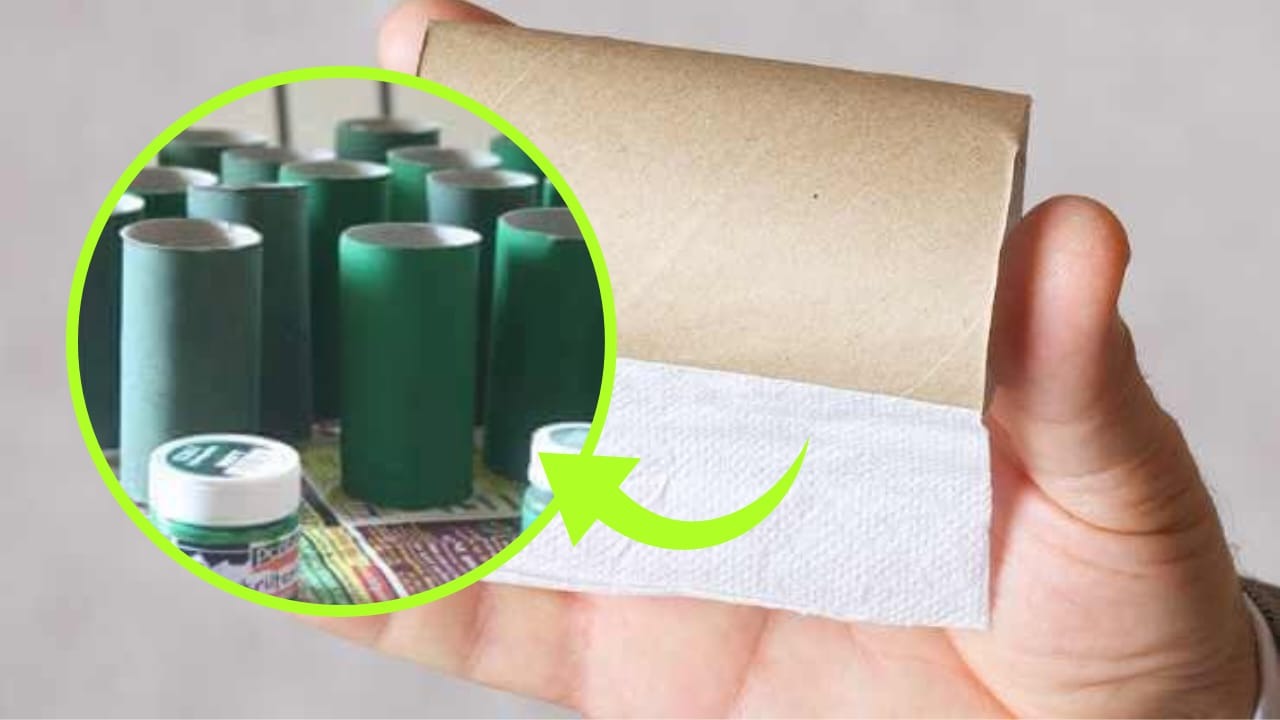 Tubes de papier toilette en carton, 10 usages cachés que vous ne connaissiez pas encore