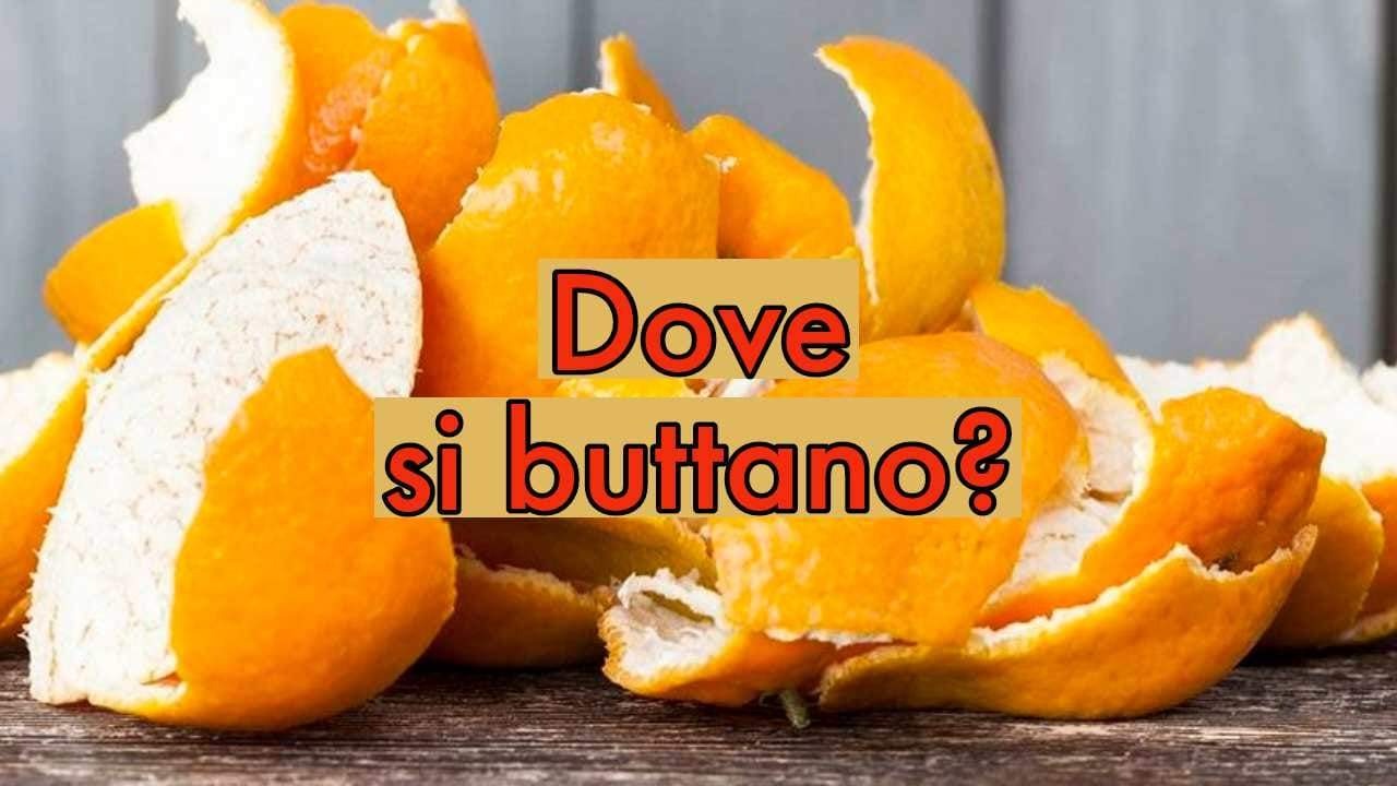 Où jetez-vous les pelures d’orange? Attention à ne pas vous tromper : ils vous infligeront une amende de 400 €