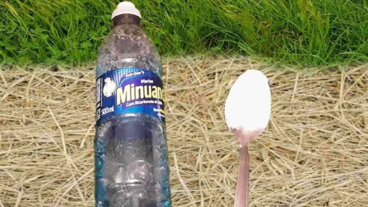 Désherbant maison à moins de 50 centimes, vous le préparez avec 3 ingrédients