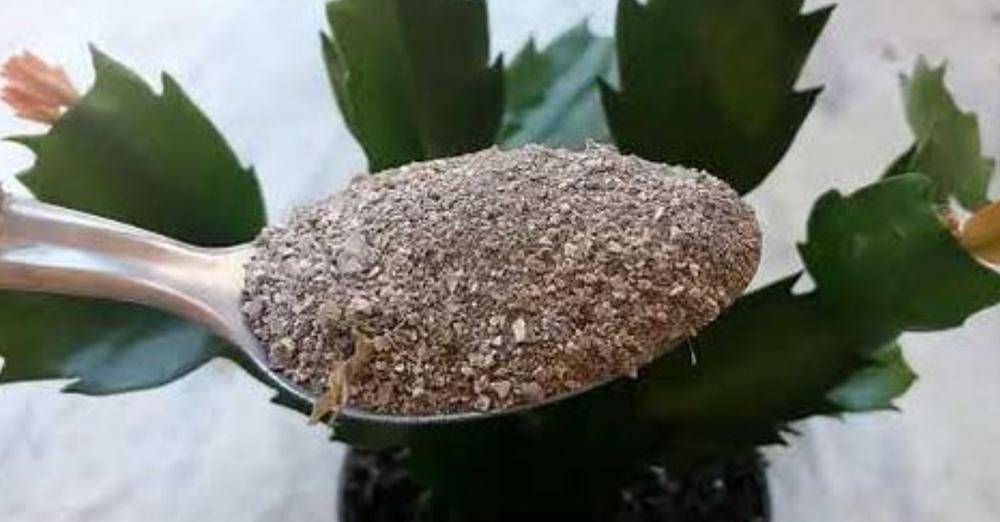 Natürliche Düngemittel zum Selbermachen: Wie Sie sie für das Wohl Ihrer Pflanzen verwenden