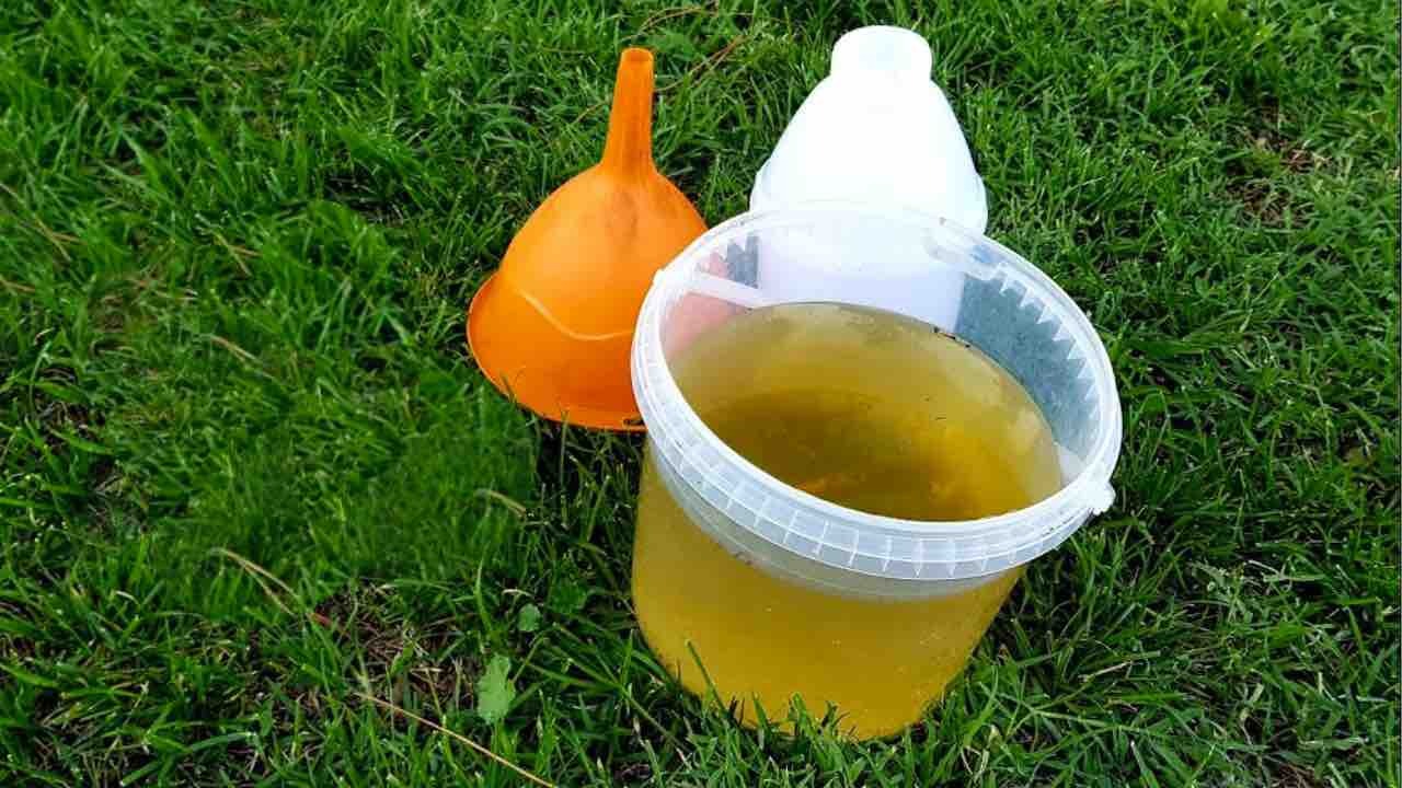 Cet engrais très puissant fera pousser toutes les plantes de votre jardin