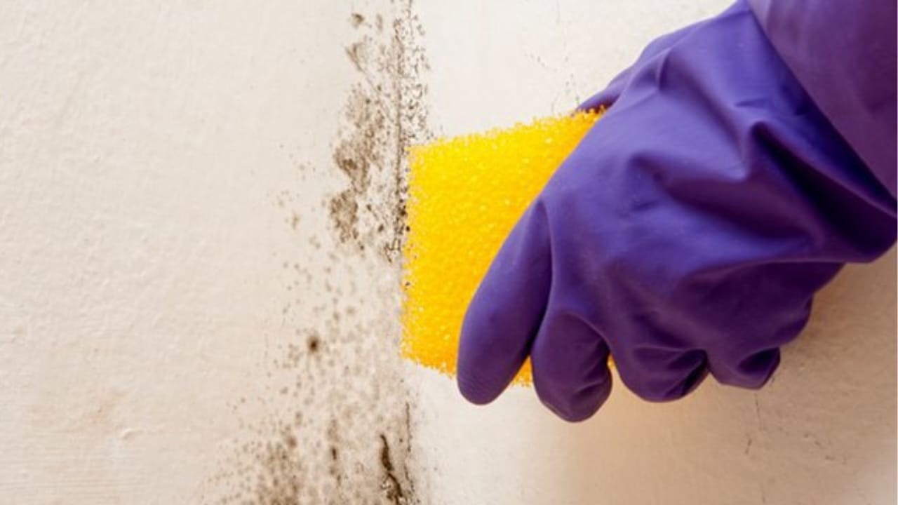 Feuchtebeschädigte Wand, bitte niemanden um Hilfe fragen: So stellt man sie selbst wieder her