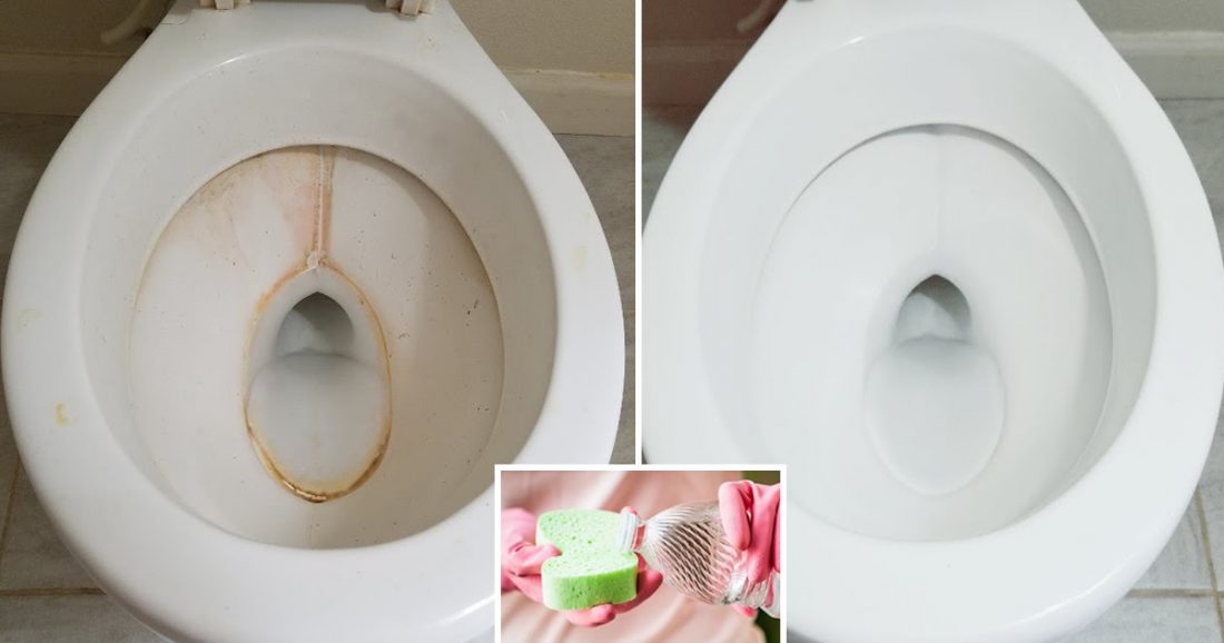 Salle de bain impeccable et impeccable : 6 façons d’utiliser le vinaigre pour nettoyer et éliminer le calcaire et la moisissure