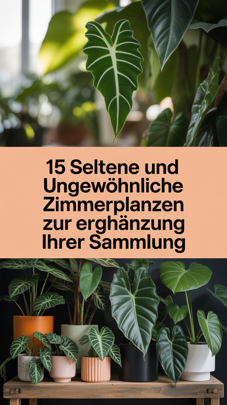 15 Seltene und Ungewöhnliche Zimmerpflanzen Zur Ergänzung Ihrer Sammlung